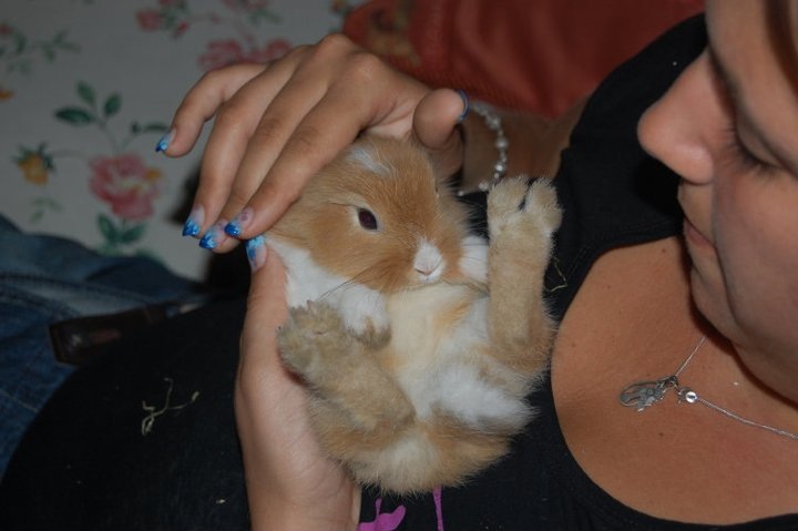 ANNA - 31/03/2012